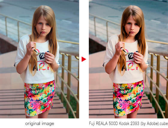 Fuji REALA 500D Kodak 2393 (by Adobe).cube