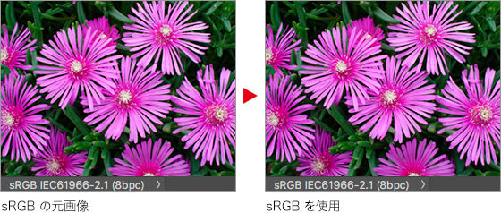 sRGBの元画像 → sRGBを使用