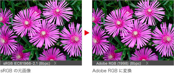 sRGB の元画像 → Adobe RGB に変換