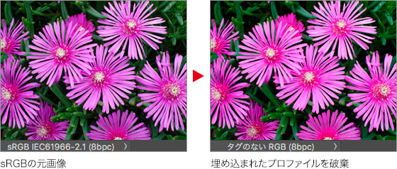 sRGB の元画像 → 埋め込まれたプロファイルを破棄