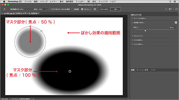 現在のマスク画像がプレビューできる