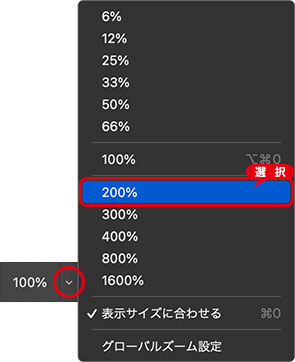 ズームレベルの選択