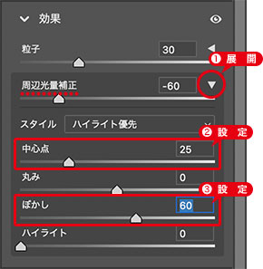 ビネットの詳細設定