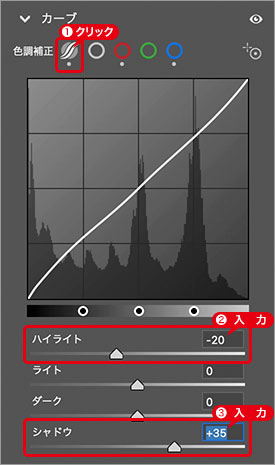 パラメトリックカーブを設定