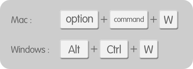 [ option ( Alt ) ] + [ Command ( Ctrl ) ] + [ W ]