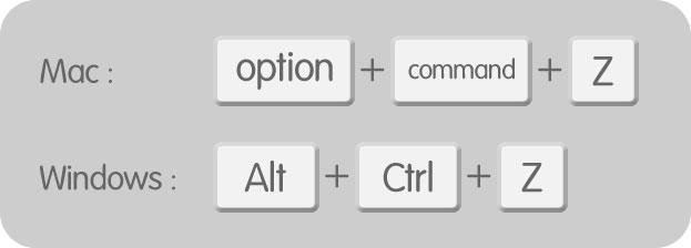 [ option ( Alt ) ] + [ Command ( Ctrl ) ] + [ Z ]