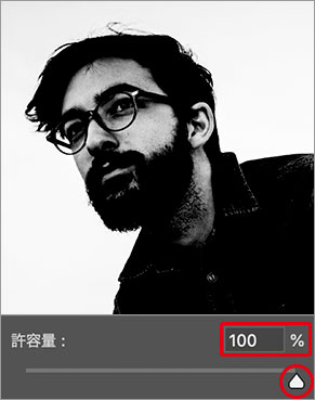 許容量: 100%